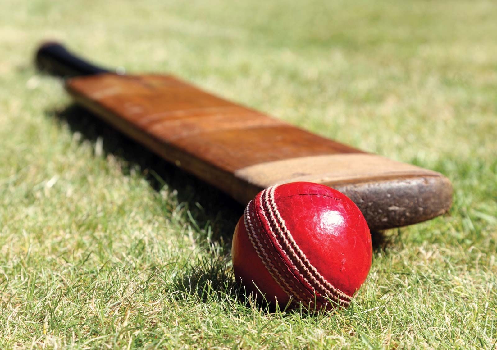 Step-by-Step Guide to Registering for an Online Cricket ID